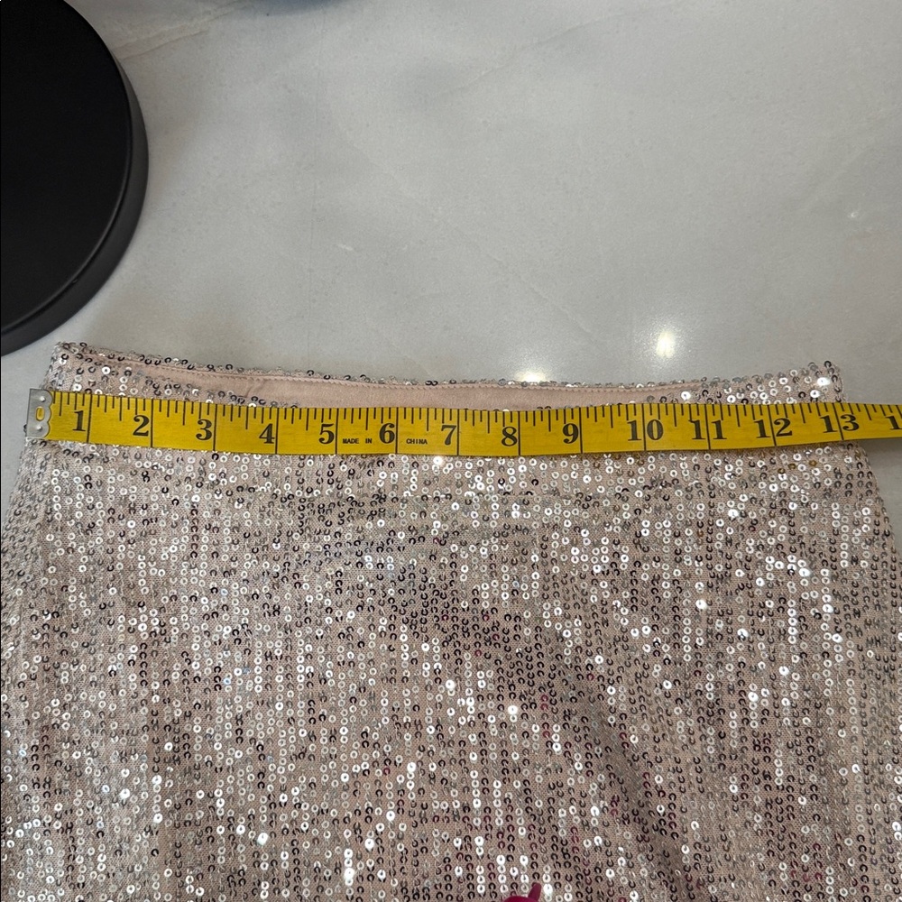 ANTHROPOLOGIE Sunday in Brooklyn Sparkling BLUSH A-Line Skirt - Picture 4 of 12
